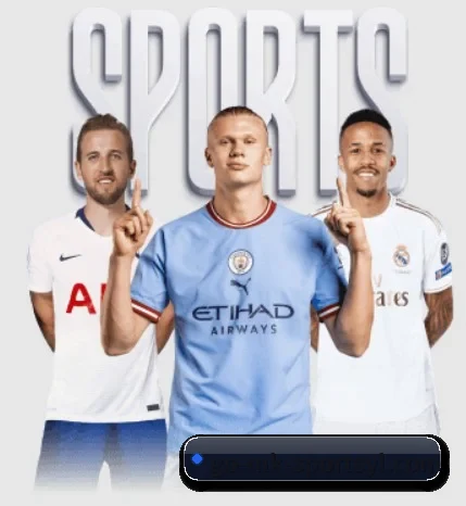 每个板块围绕一个运动项目展开 | MKSPORT